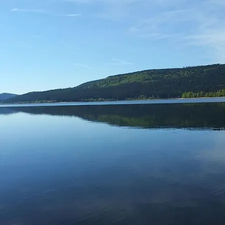 Haber Apartment Schluchsee